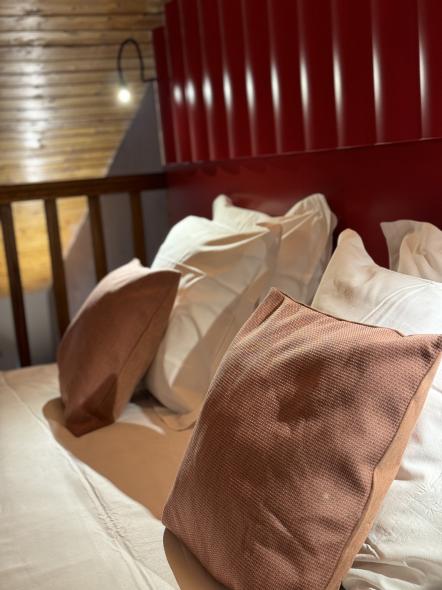 Hôtel Alpeen - Chambres - Junior Suite